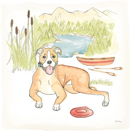 Framed Dog Days of Summer Comet Print