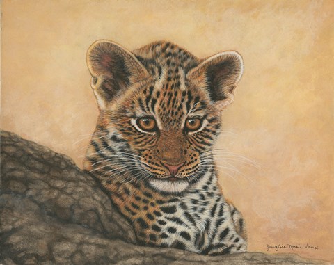 Framed Young Leopard Print
