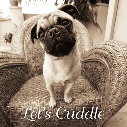 Framed Wonder Lets Cuddle Sq Script 1 Print