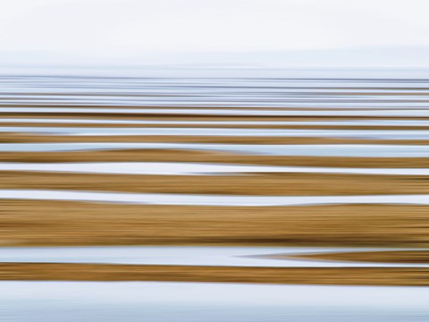 Framed Sand Flats in Fog Print