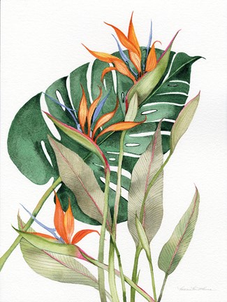 Framed Botanical Birds of Paradise Print