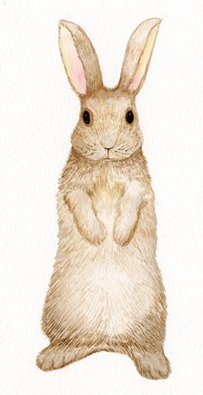 Framed Spring Bunny II White Print