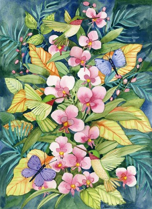 Framed Orchids and Hummingbirds Print