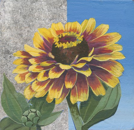 Framed Zinnia Spice and Silver Print