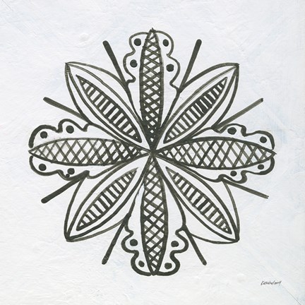 Framed Patterns of the Amazon Icon IV Print