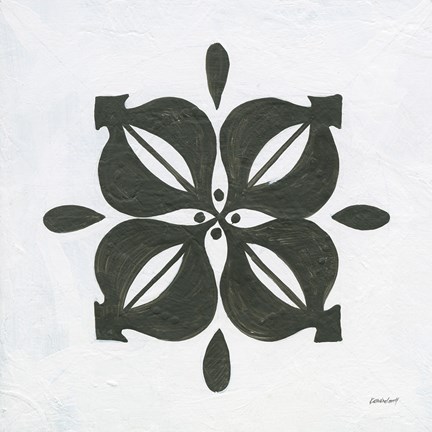 Framed Patterns of the Amazon Icon VI Print