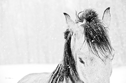 Framed Snow Daze III Print