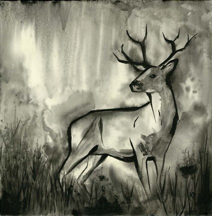 Framed BW Deer Print