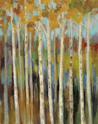 Framed Young Forest I Print