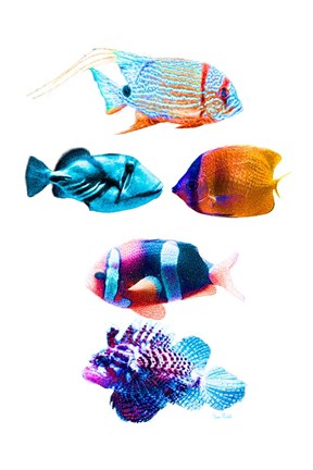 Framed Fish Tank Print