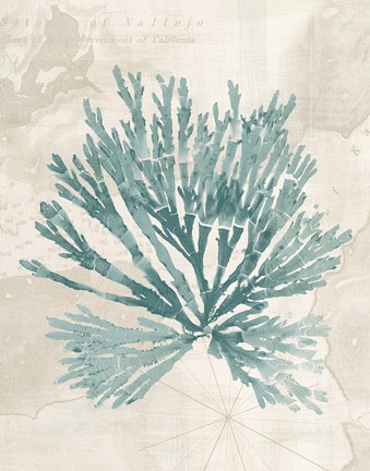 Framed Pacific Sea Mosses II borderless Print