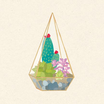 Framed Succulent Terrarium II Print
