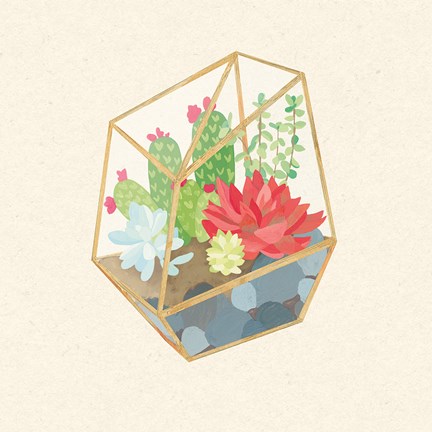 Framed Succulent Terrarium IV Print