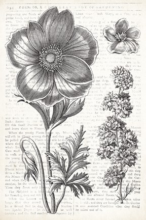 Framed Eden Spring I Print