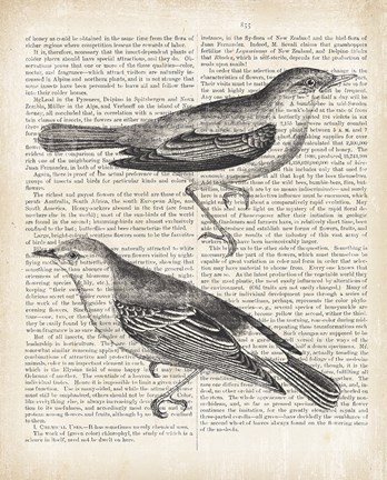 Framed Vintage Birds on Newsprint Print