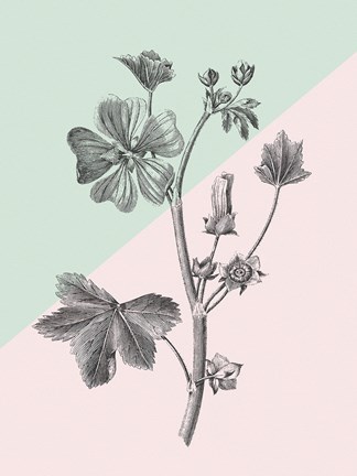 Framed Conversations on Botany VII Color Block Print