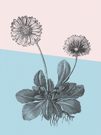 Framed Conversations on Botany IX Color Block Print