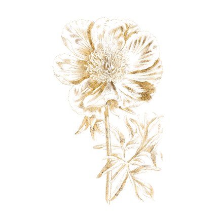 Framed Gilded Botanical VIII Sq Print