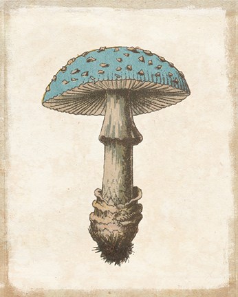 Framed Funghi Velenosi Blue Green Print
