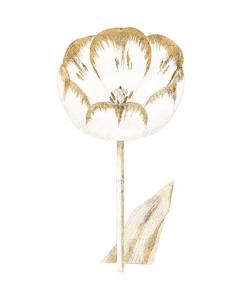 Framed Gilded Botanical V Print