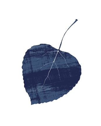 Framed Big Leaf Indigo Print