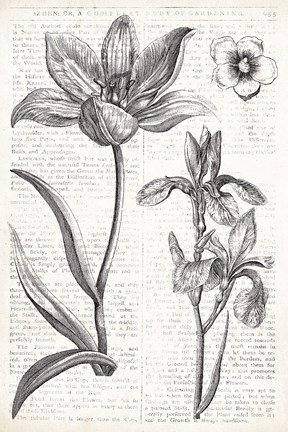 Framed Eden Spring II Print