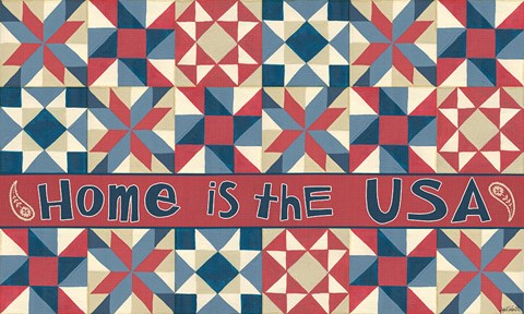 Framed American Country IX Print