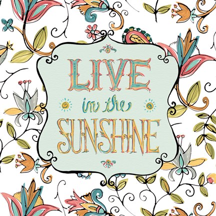 Framed Peace and Paisley I on White Print