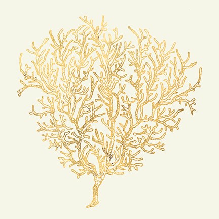 Framed Coastal Breeze Shell Sketches I Print