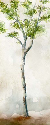 Framed Watercolor Birch Trees II Print