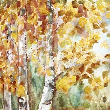 Framed Watercolor Fall Aspens Square Print