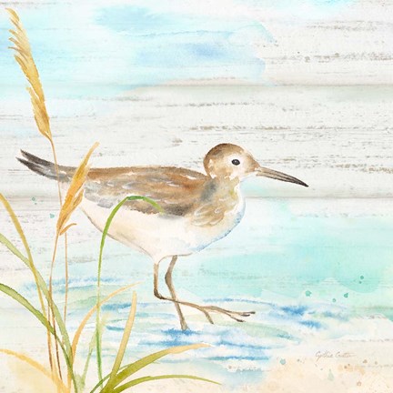 Framed Sandpiper Beach I Print