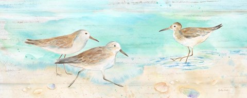 Framed Sandpiper Beach Panel Print