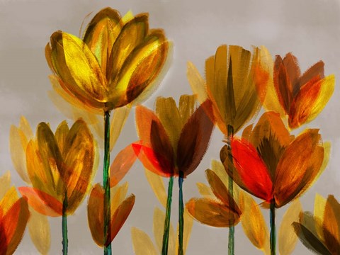 Framed Contemporary Poppies Yellow Print