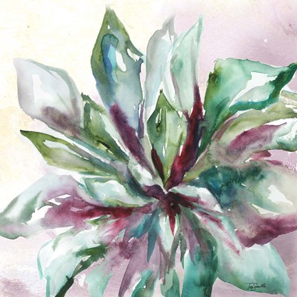 Framed Succulent Watercolor II Print