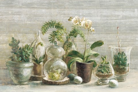 Framed Greenhouse Orchids on Wood v2 Print