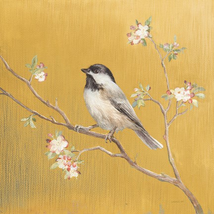 Framed Black Capped Chickadee on Gold Print