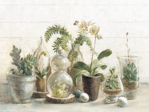 Framed Greenhouse Orchids on Shiplap Print