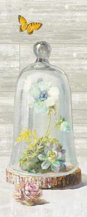 Framed Succulent Garden II Panel Print