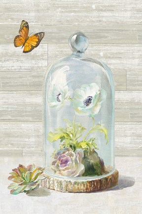 Framed Succulent Garden I Crop Print