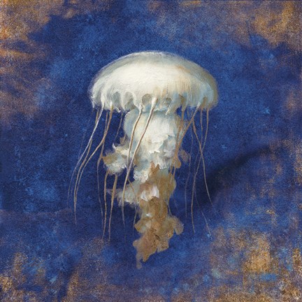 Framed Treasures from the Sea Indigo VI Print