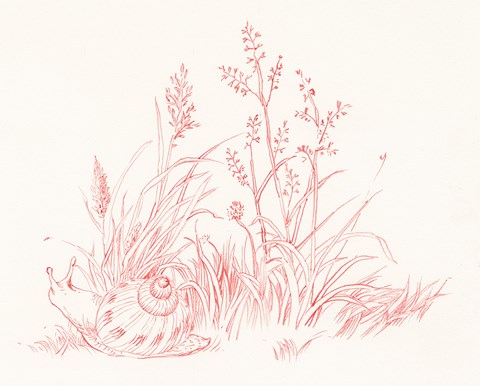 Framed Farm Nostalgia Flowers VII Print