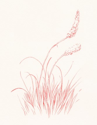 Framed Farm Nostalgia Flowers IV Print