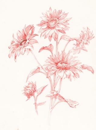 Framed Farm Nostalgia Flowers I Print