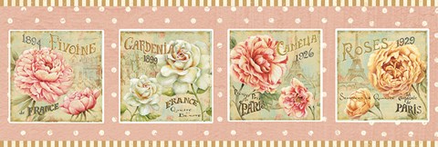 Framed Concours Floral V Print