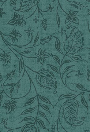 Framed Paisley Trail II Patterns Print