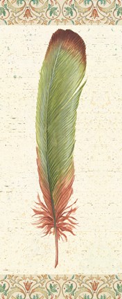 Framed Feather Tales VI Print