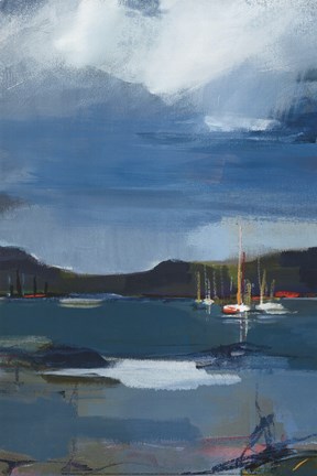 Framed Coastal Display II Print