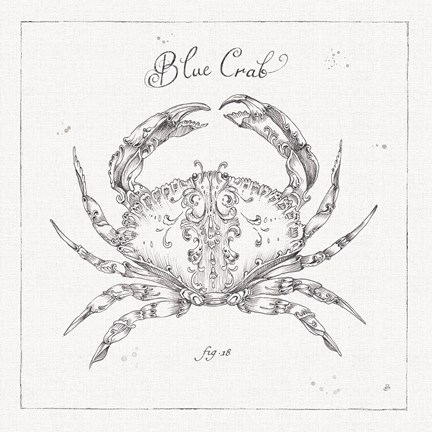 Framed Underwater Life IV Print