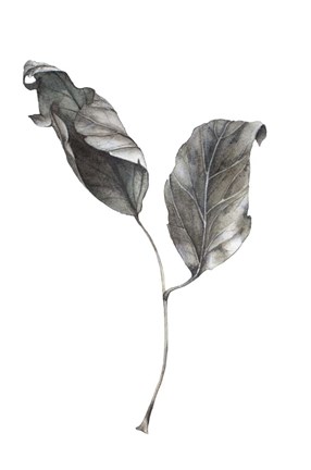 Framed Silver Leaf Print